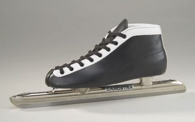 Zandstra Ving Noor 0525