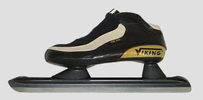Viking Gold 2000 Vast